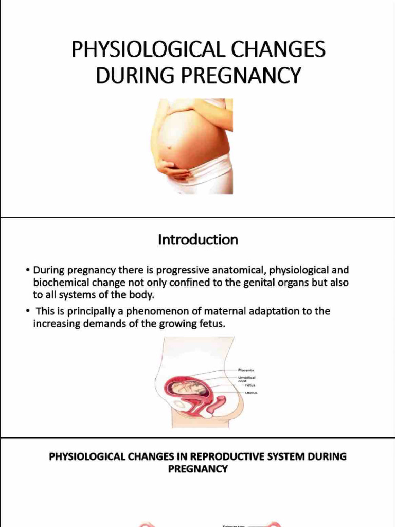 Physiological Changes During Pregnancy | PDF