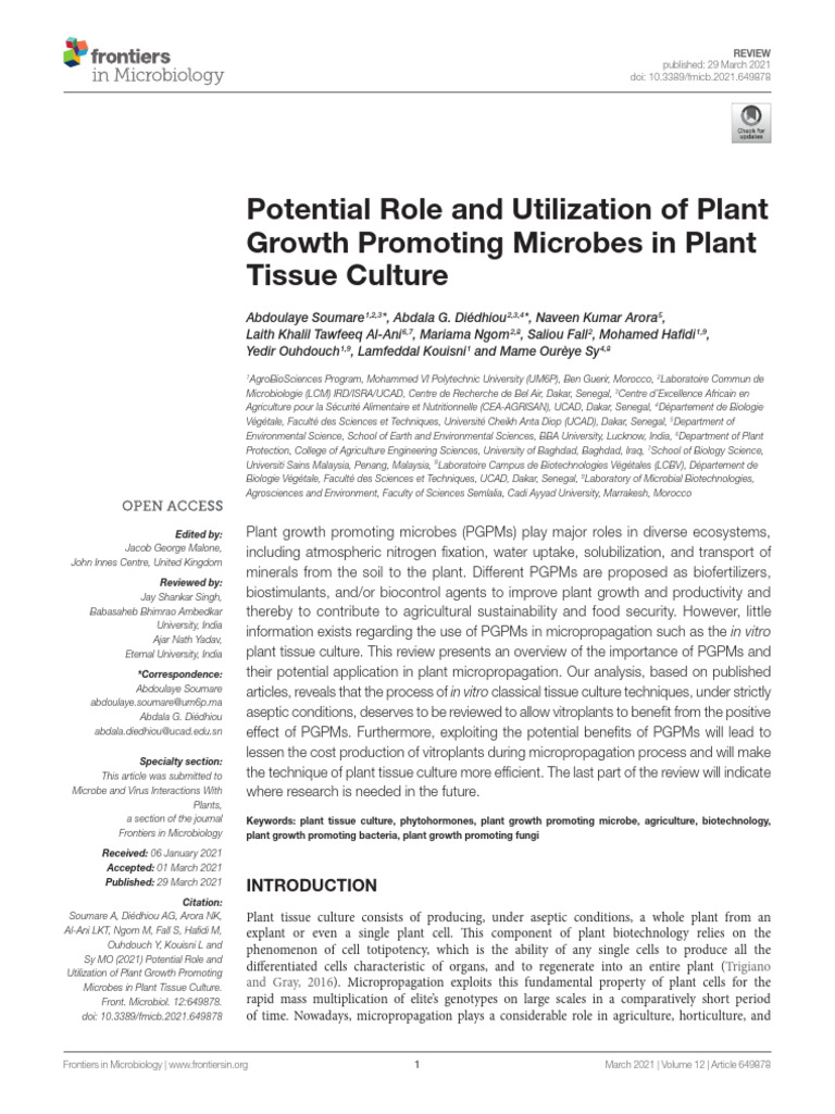 Endo Microbes in PTC 2021..P2 - Compressed 2026 | PDF | Plant Hormone ...
