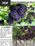 A Videira Verdadeira e Os Ramos - João 15:1
