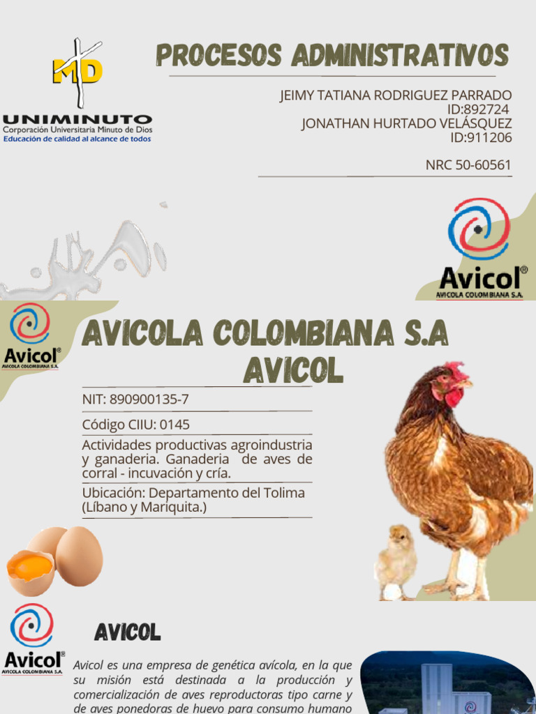 PRESENTACIÓN Avicol | PDF | Business | Gestión de recursos humanos