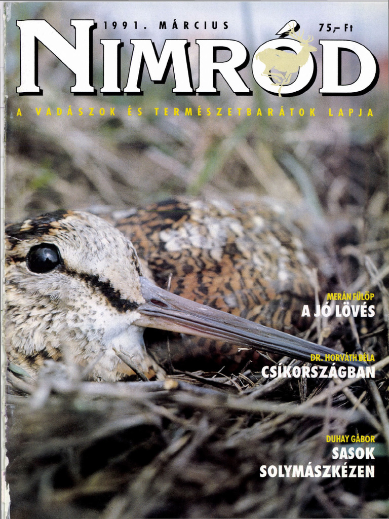 nimrod 1991-03 | PDF