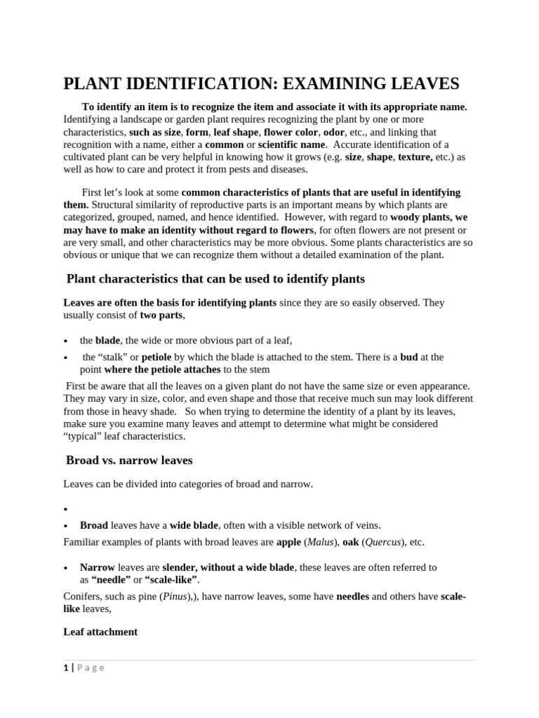 Leaf Classification | PDF | Leaf | Plants