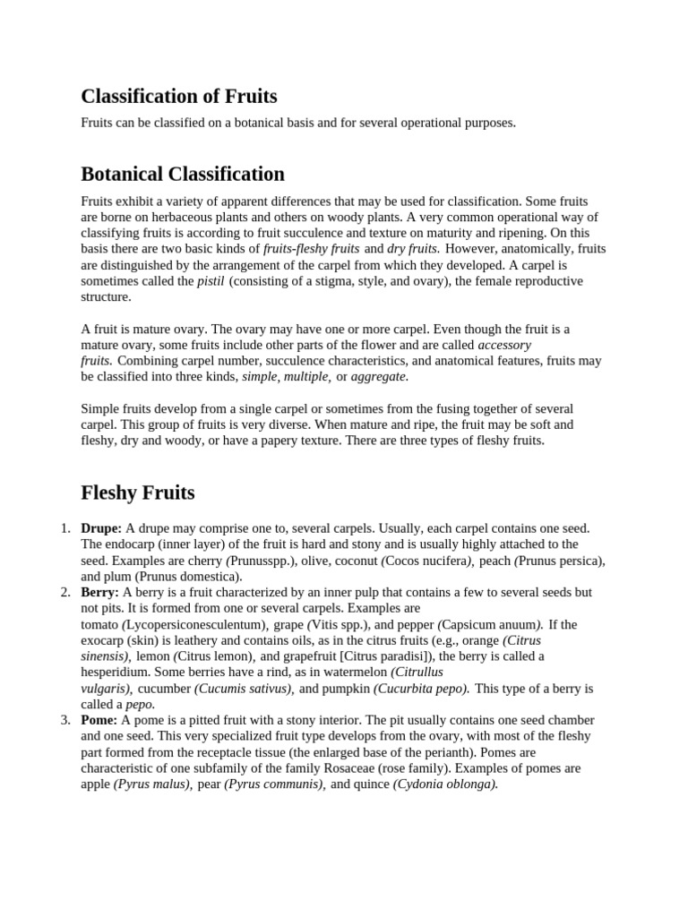 Classification of Fruits | PDF | Fruit | Germination