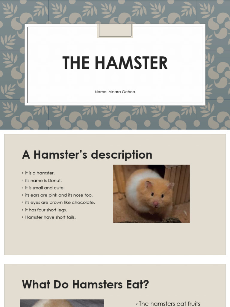 The Hamster | PDF