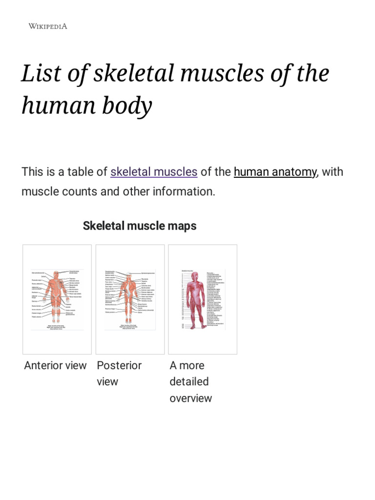 List of Skeletal Muscles of The Human Body - Wikipedia | PDF | Tongue ...