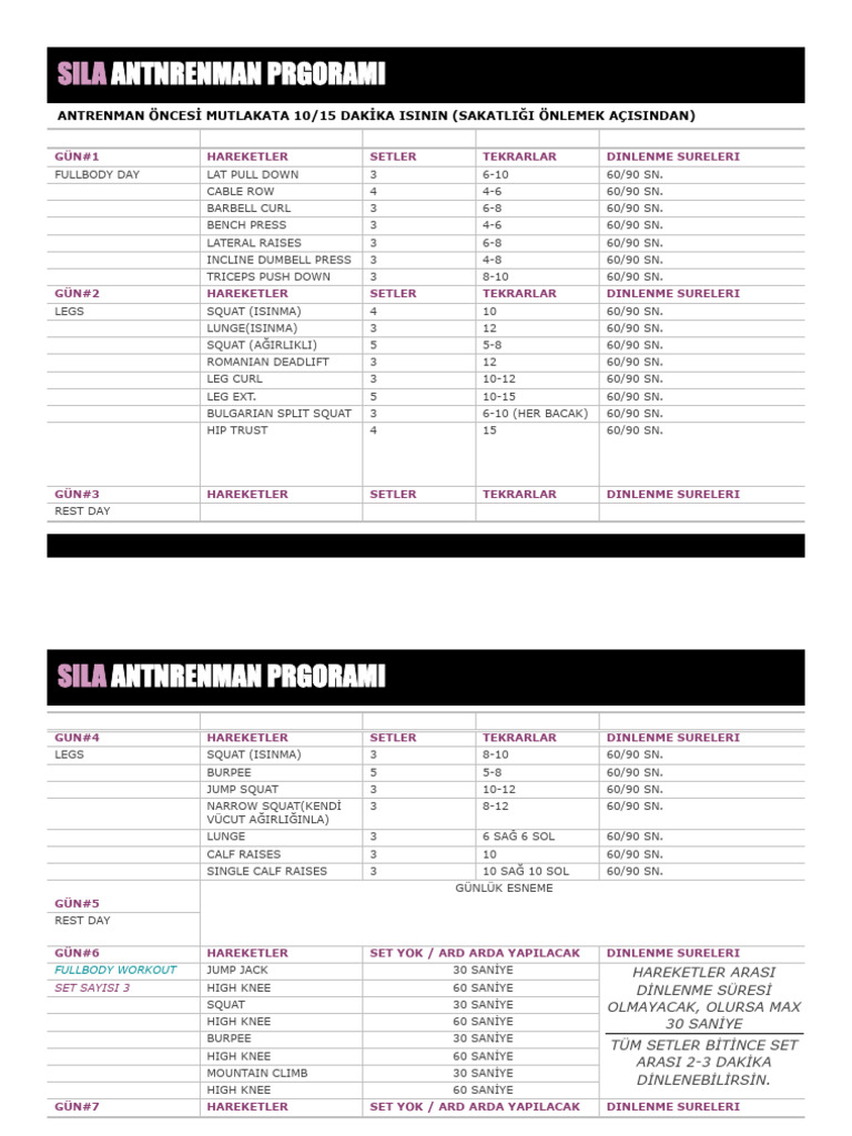 Fitness Program | PDF