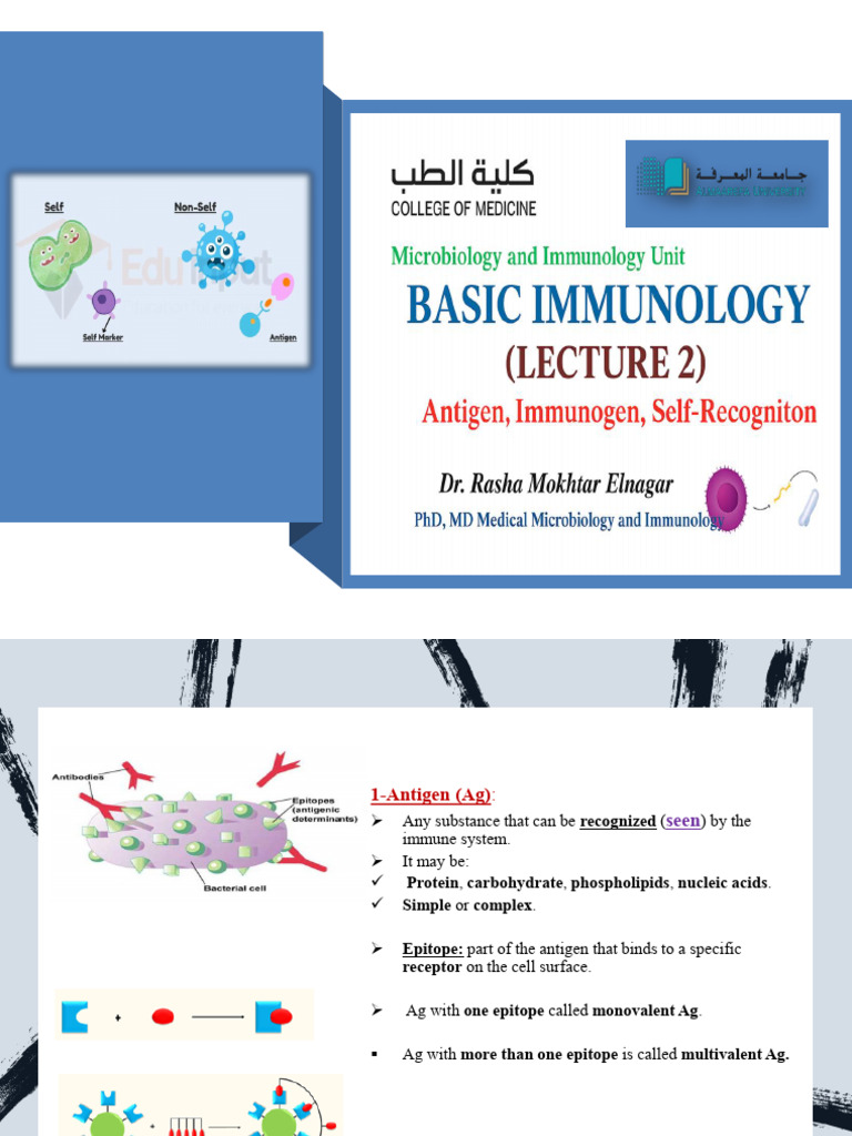 Immunology Lecture 2 - Antigen, Immunogen, Self Recognition | PDF ...