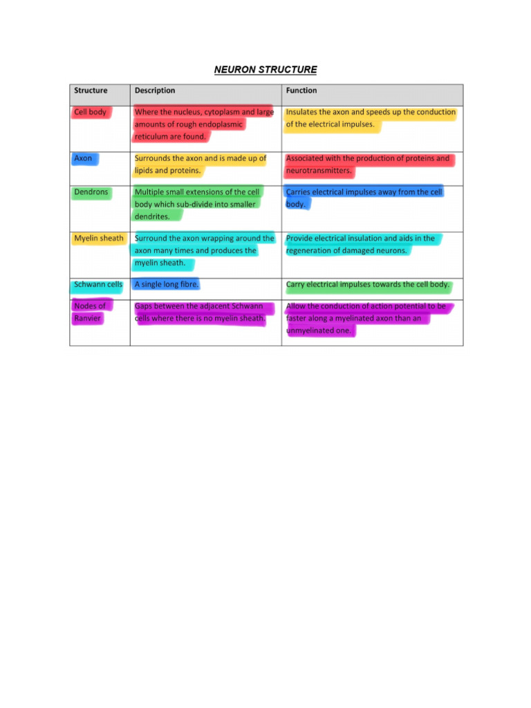 Nervous System Activity - Trinidad and Octavia | PDF | Cell Membrane | Axon