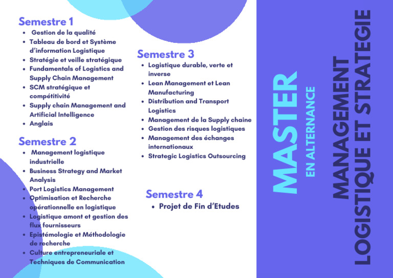 Master Management Logistique Et Stratégie | PDF
