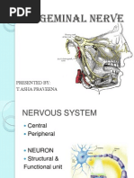 Download Trigeminal Nerve by Asha Praveena SN100663451 doc pdf