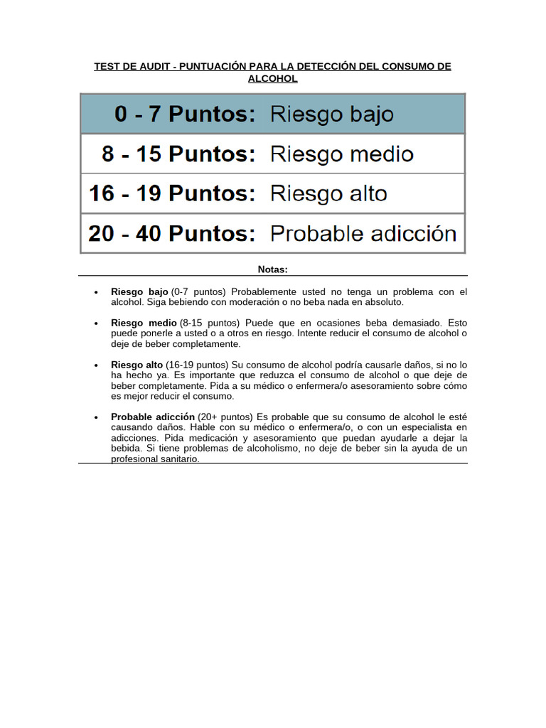Test de Audit Puntaje | PDF