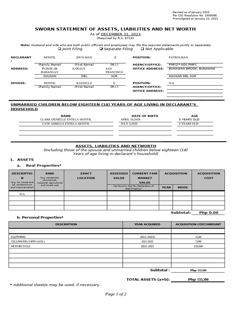 Saln Sample Format | PDF | Affidavit | Business Economics