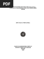 Download deteksi baky by Christianz Tha Hellsingz SN100665861 doc pdf