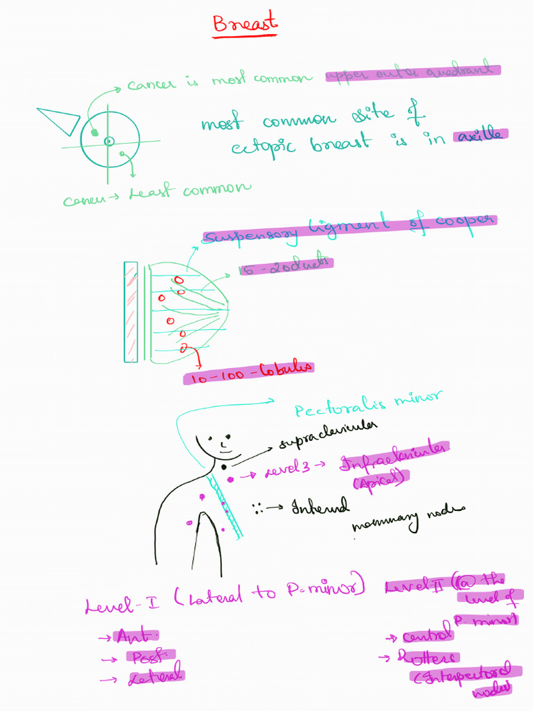 Breast Notes | PDF