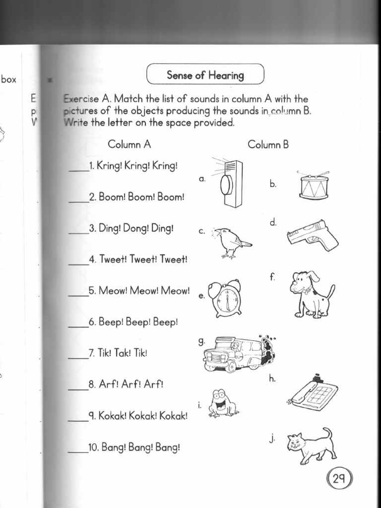 Science Grade 2 | PDF