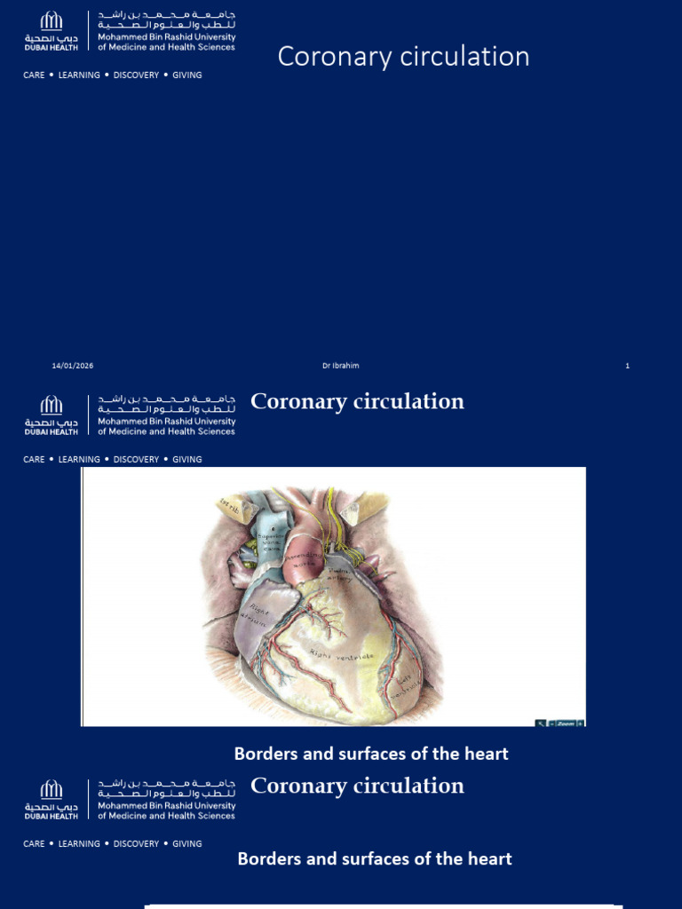 Coronary Circulation | PDF | Coronary Circulation | Medical Specialties