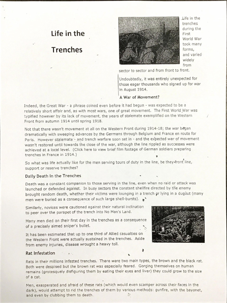 Life in The Trenches Activity | PDF | Trench Warfare | Warfare