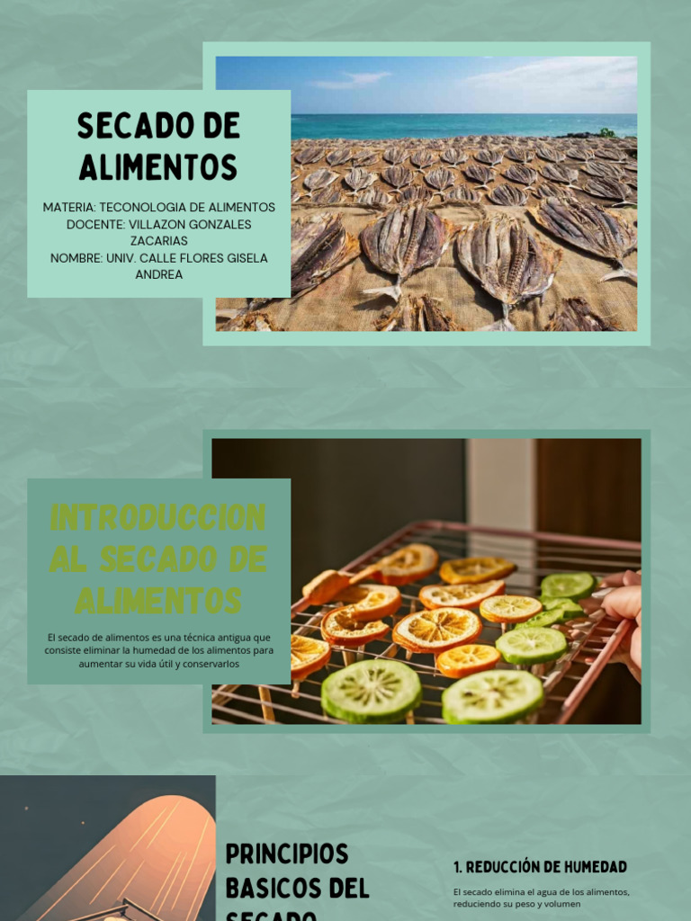 Presentación de Secado de Alimentos | PDF | Agua | Evaporación