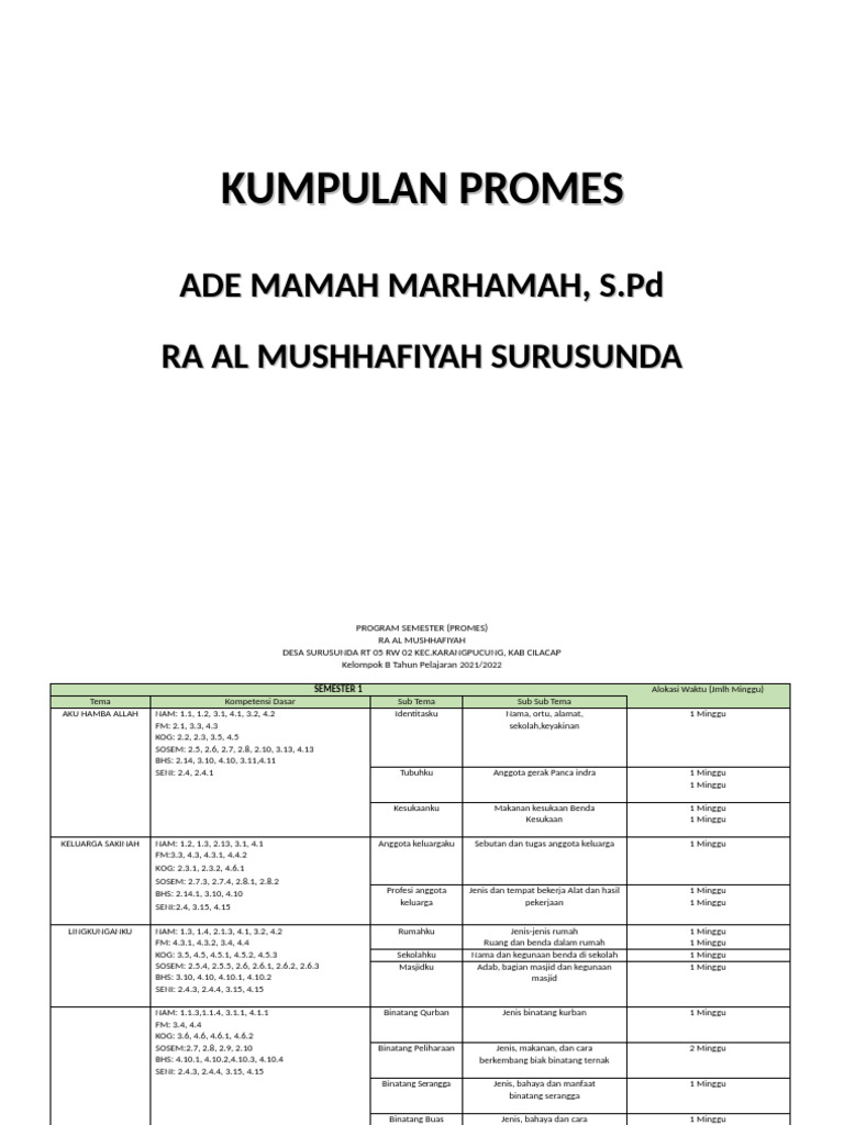 PROMES | PDF