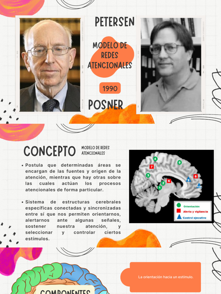 Modelo de Atención de Posner y Petersen - 260302 - 191128 | PDF ...