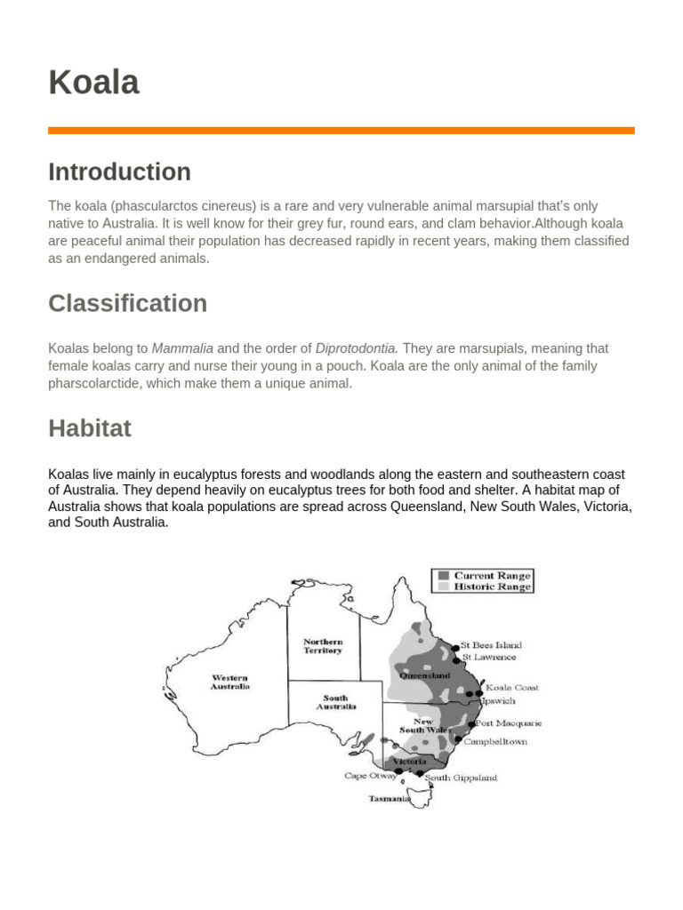 Koala | PDF | Koala | Natural Environment