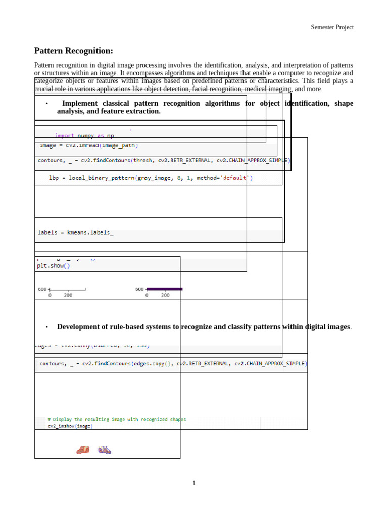 Dip Project | PDF