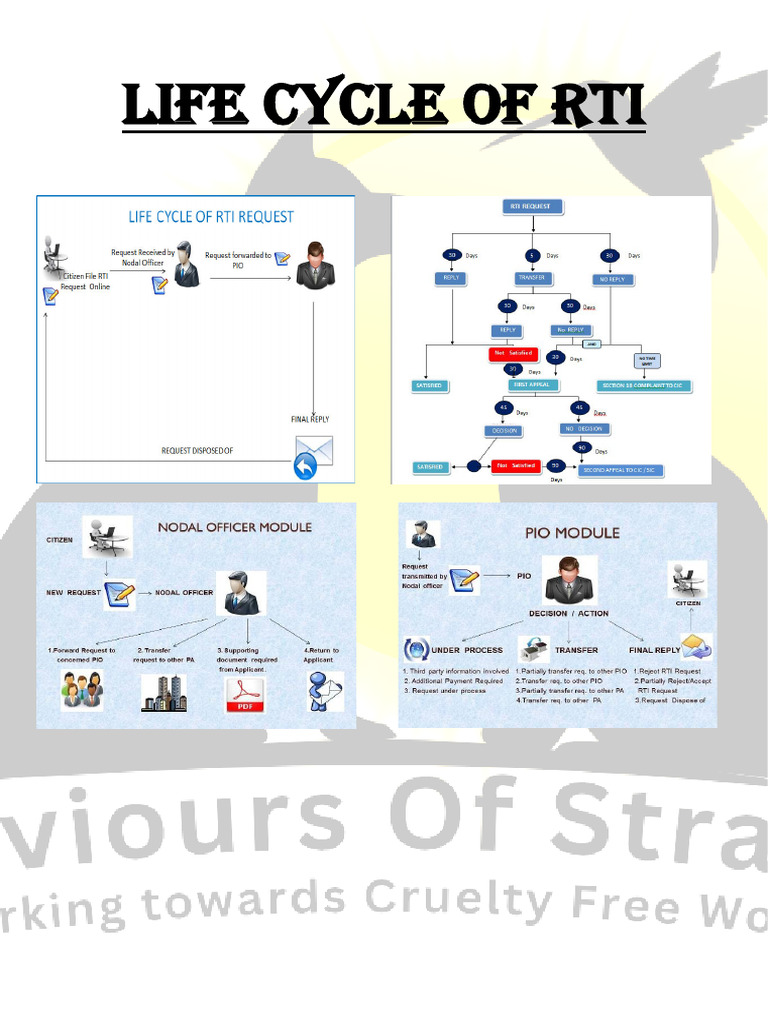 Life Cycle of RTI | PDF