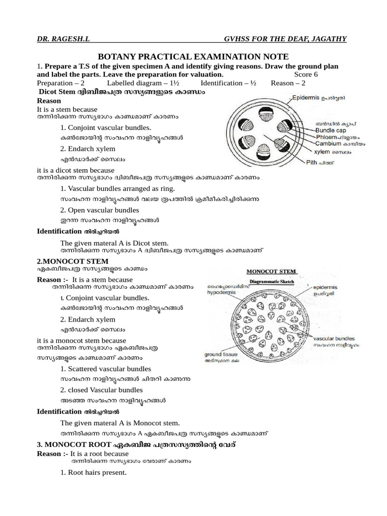 Botany Practical 2 | PDF