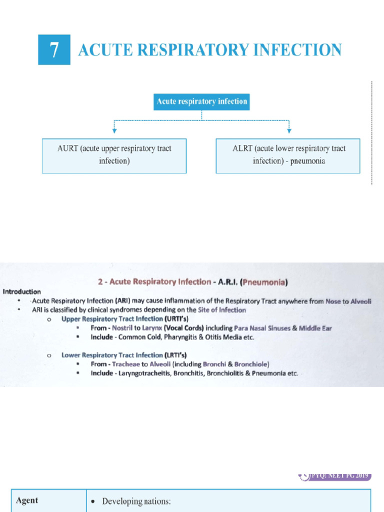 Ari | PDF