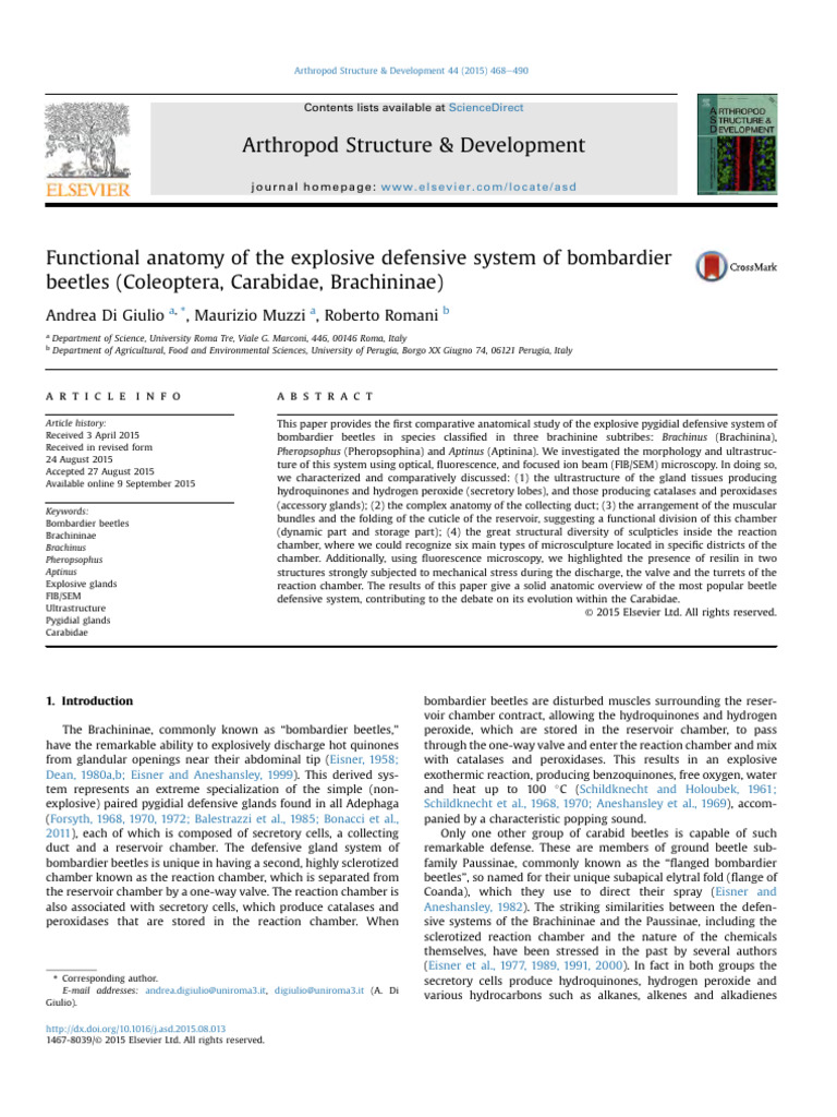 Bombardier Beetle | PDF | Scanning Electron Microscope | Microscope