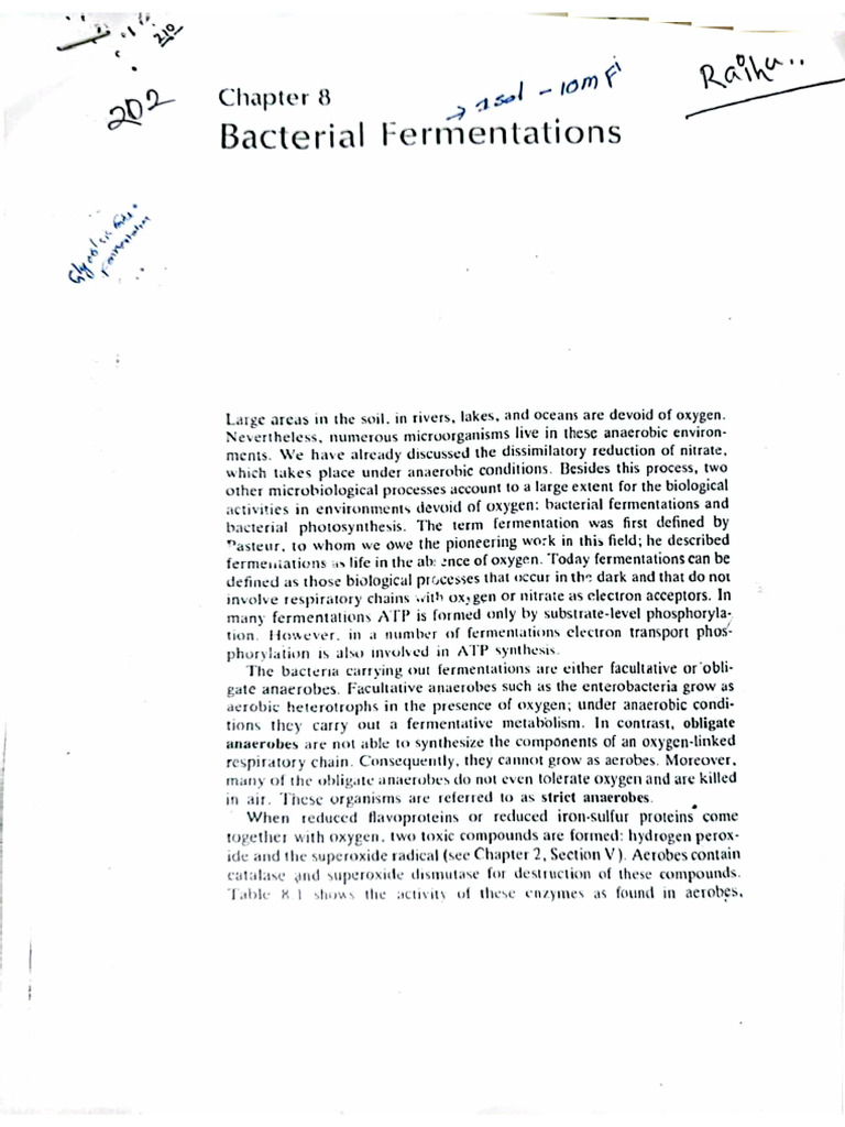 Bacterial Fermentation | PDF