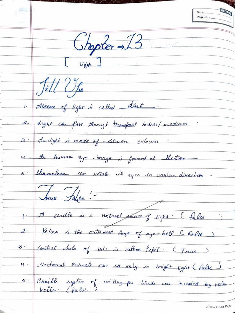 CH 13 Sci | PDF