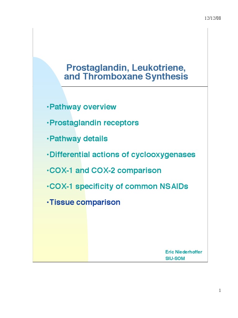 Prostaglandin Synthesis PDF Prostaglandin Nonsteroidal Anti