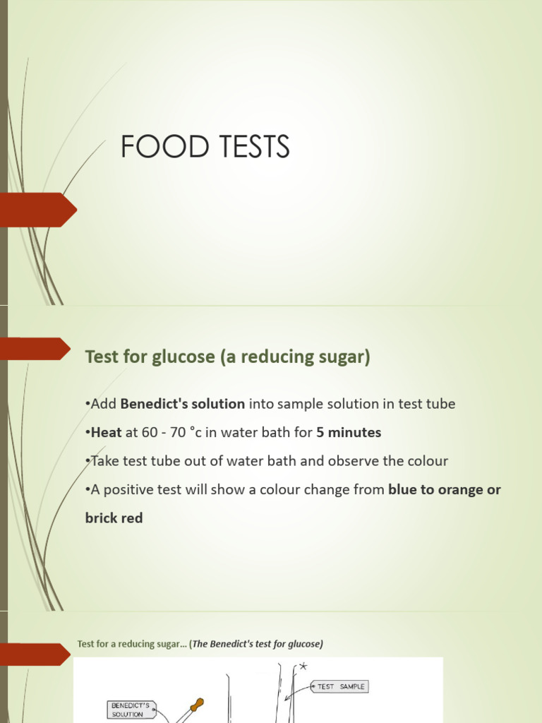 Food Tests | PDF