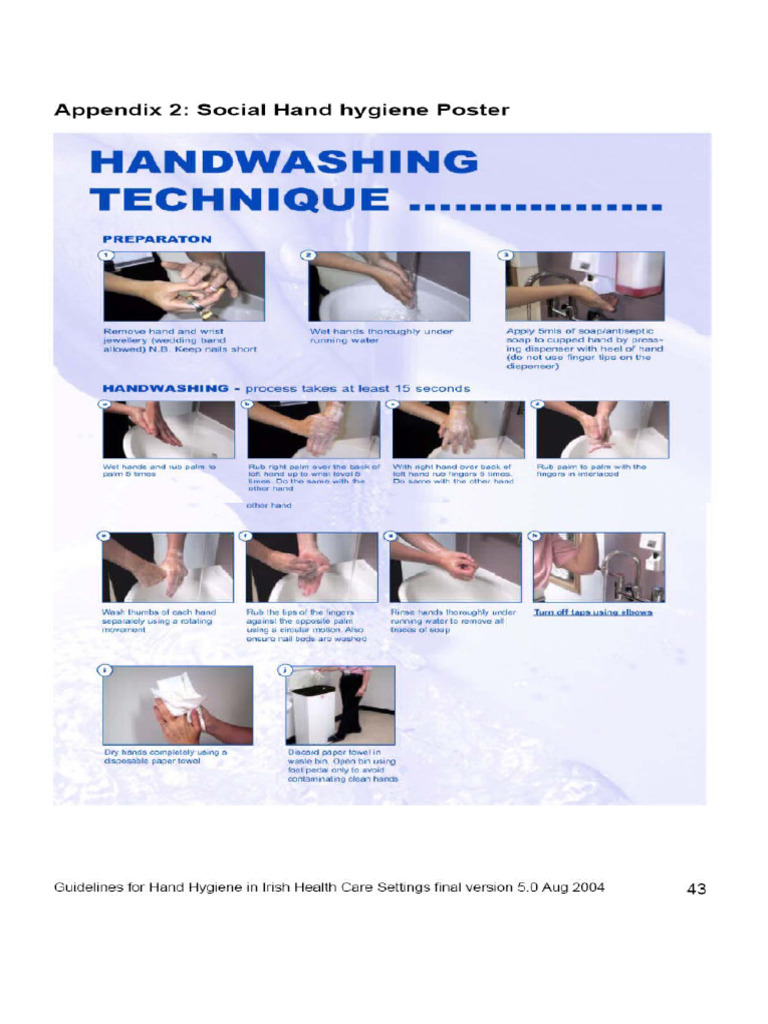 Hand Hygiene | PDF