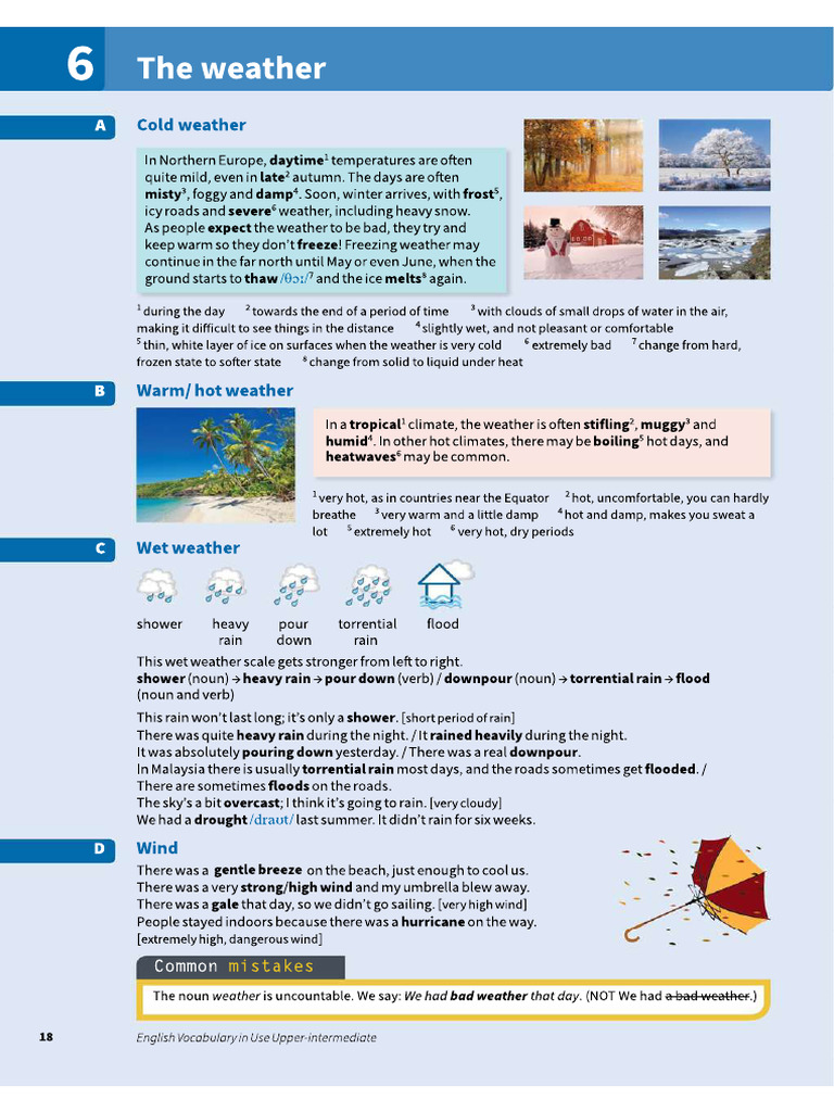 The Weather, Environmental Problems | PDF