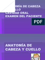 Cavidad Oral