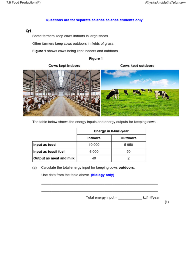 7.5 Food Production (F) QP | PDF | Bacteria | Cattle