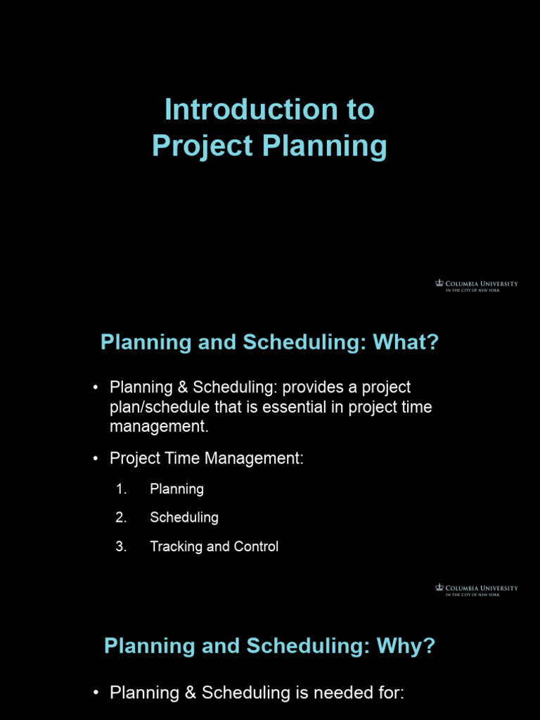 CM1 - W5 - Introduction To Project Planning | PDF