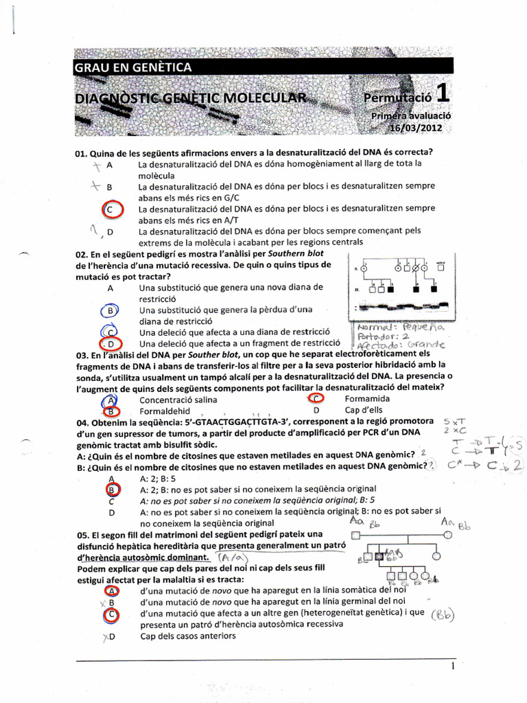 Examen Parcial | PDF