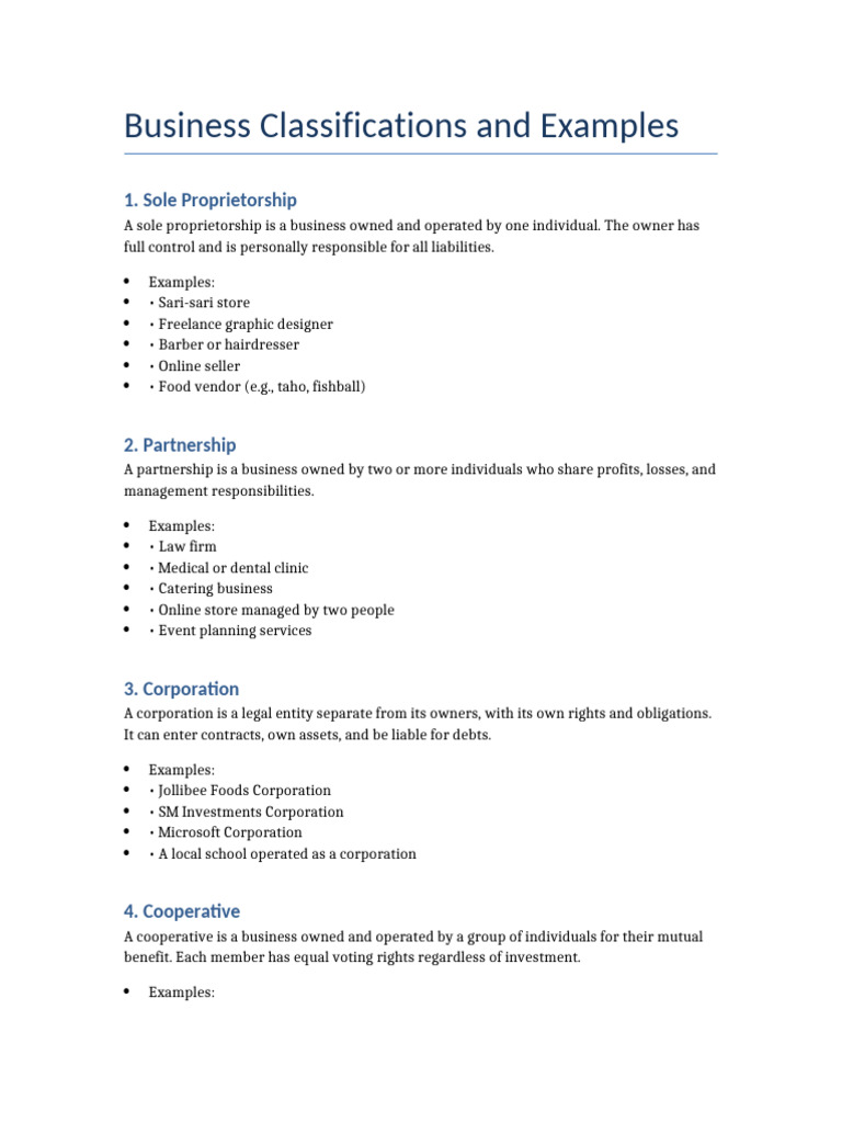 Business Classifications and Examples | PDF