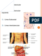 Regiones Abdomen Jorge