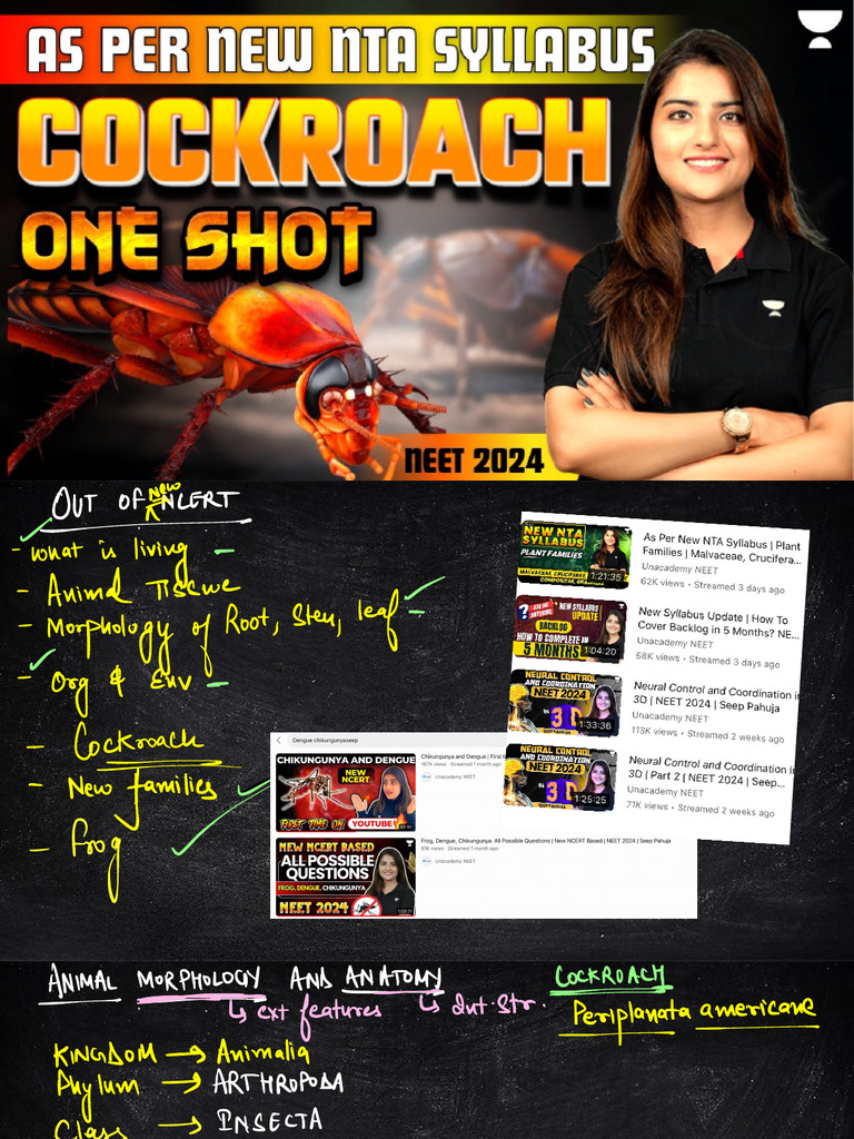 Cockroach - One Shot | PDF