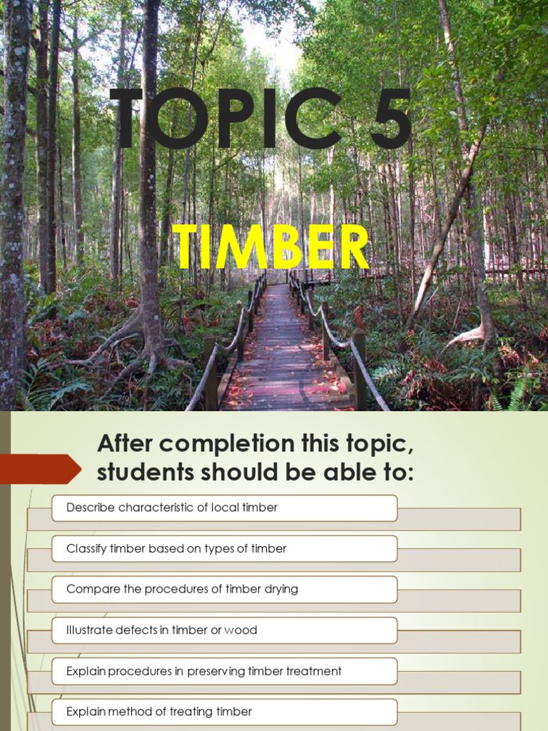 5.1 The Local Timber | PDF | Lumber | Wood