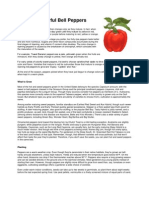 Bell Peppers.pdf