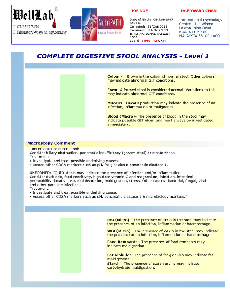Report CDSA Level 1 Sample | PDF
