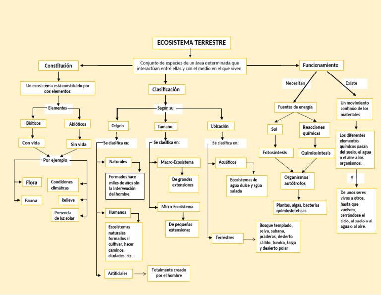 Mapa Conceptual de Los Ecosistemas Terrestres 2 | PDF | Ecosistema ...