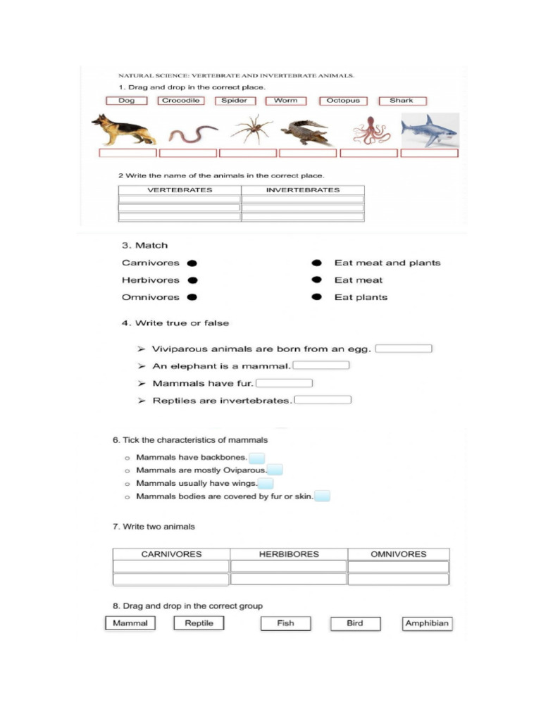 Science Homework 1 | PDF