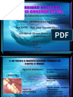 Antecedente Estomatologicos Semiologia Oral I Grupo 01
