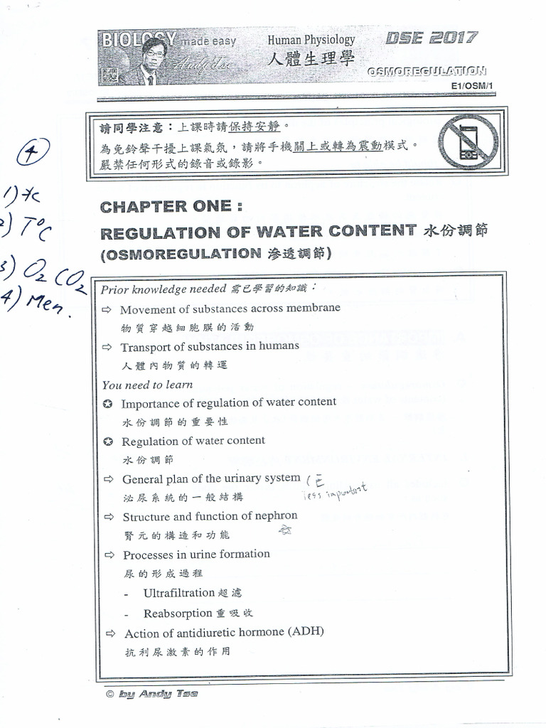 E1 Ch1 | PDF